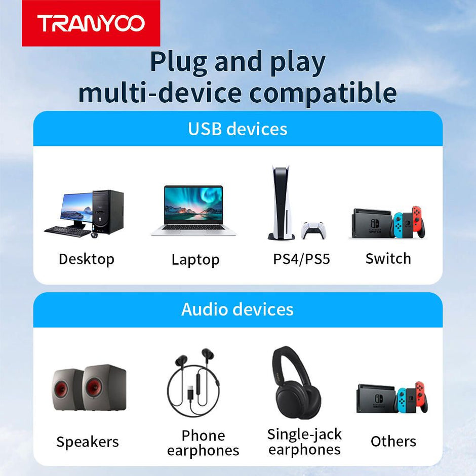 Audio Cable, Converter T-E21